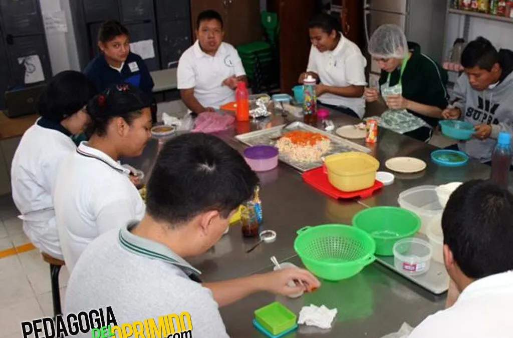 Educacion Escolar Integracion Escolar Inclusion Guia Gobierno De Mexico Diferencias