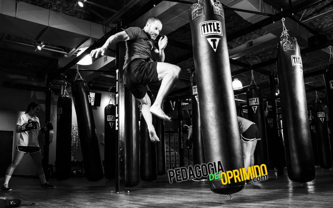 Motivacion Pra Aprobar Materias En La Universidad Con Jordan Peterson