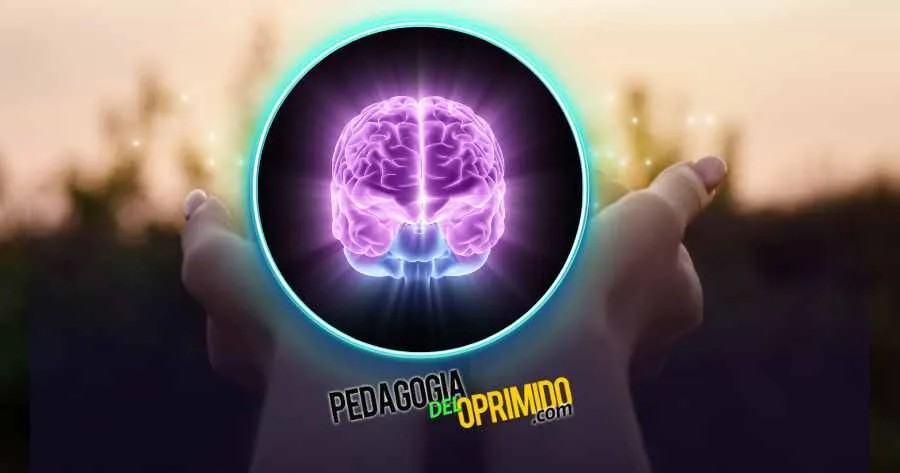 Memoria Y Su Importancia En El Aprendizaje