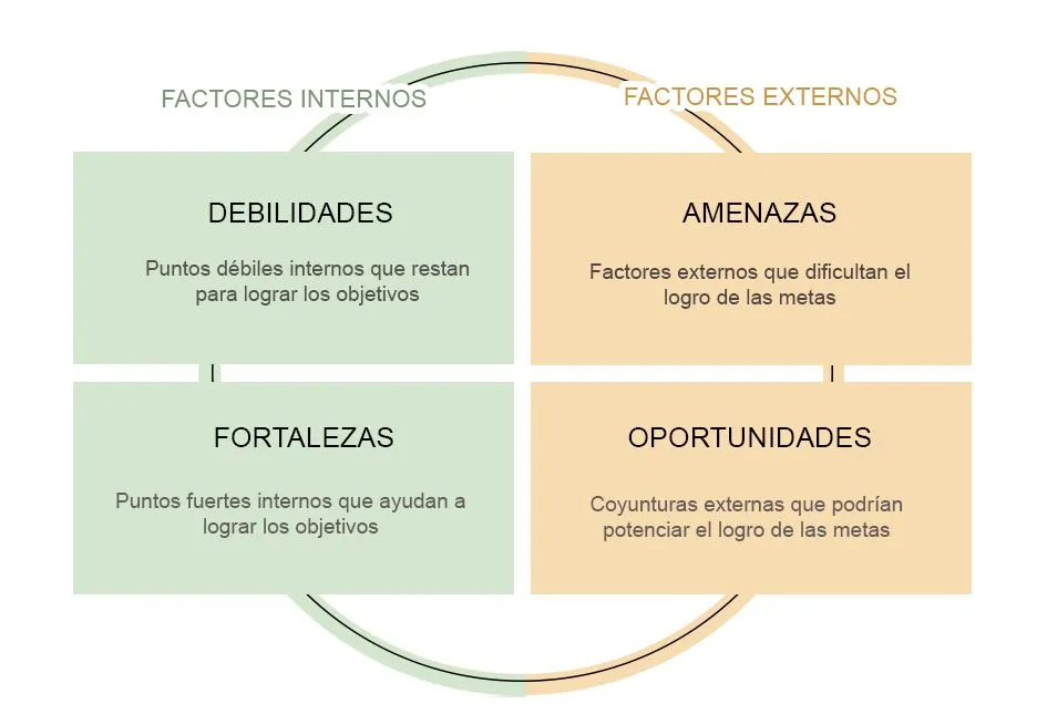 Matriz Dafo Personal Como Hacerla