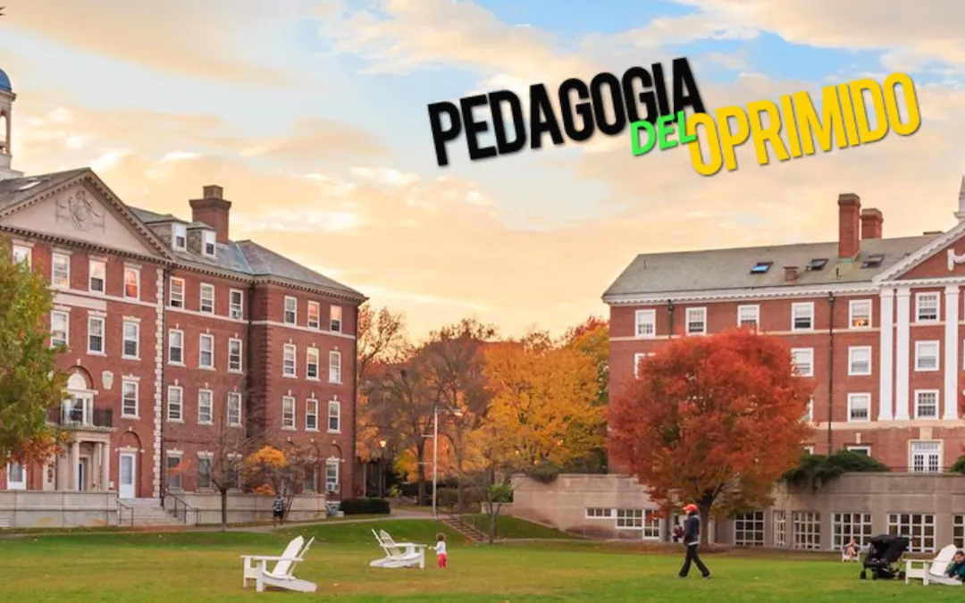 La universidad de Harvard