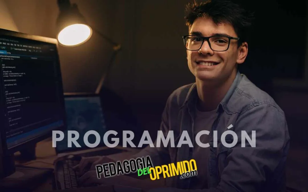 Que Hacen En La Carrera De Programador Web