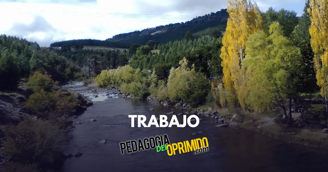 Trabajo En Neuquen Argentina 2023