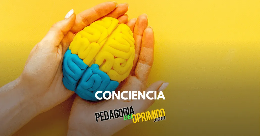 Qué es la conciencia y porqué es difícil explicarla