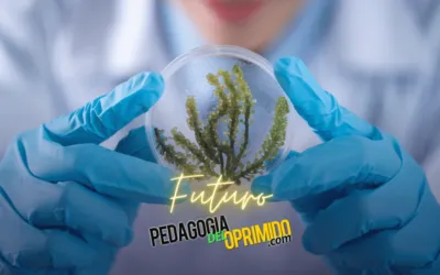 Qué significa realmente terminar la tesis